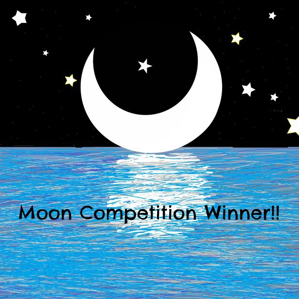 Moon Poem Winner Announced! — S Y Palmer