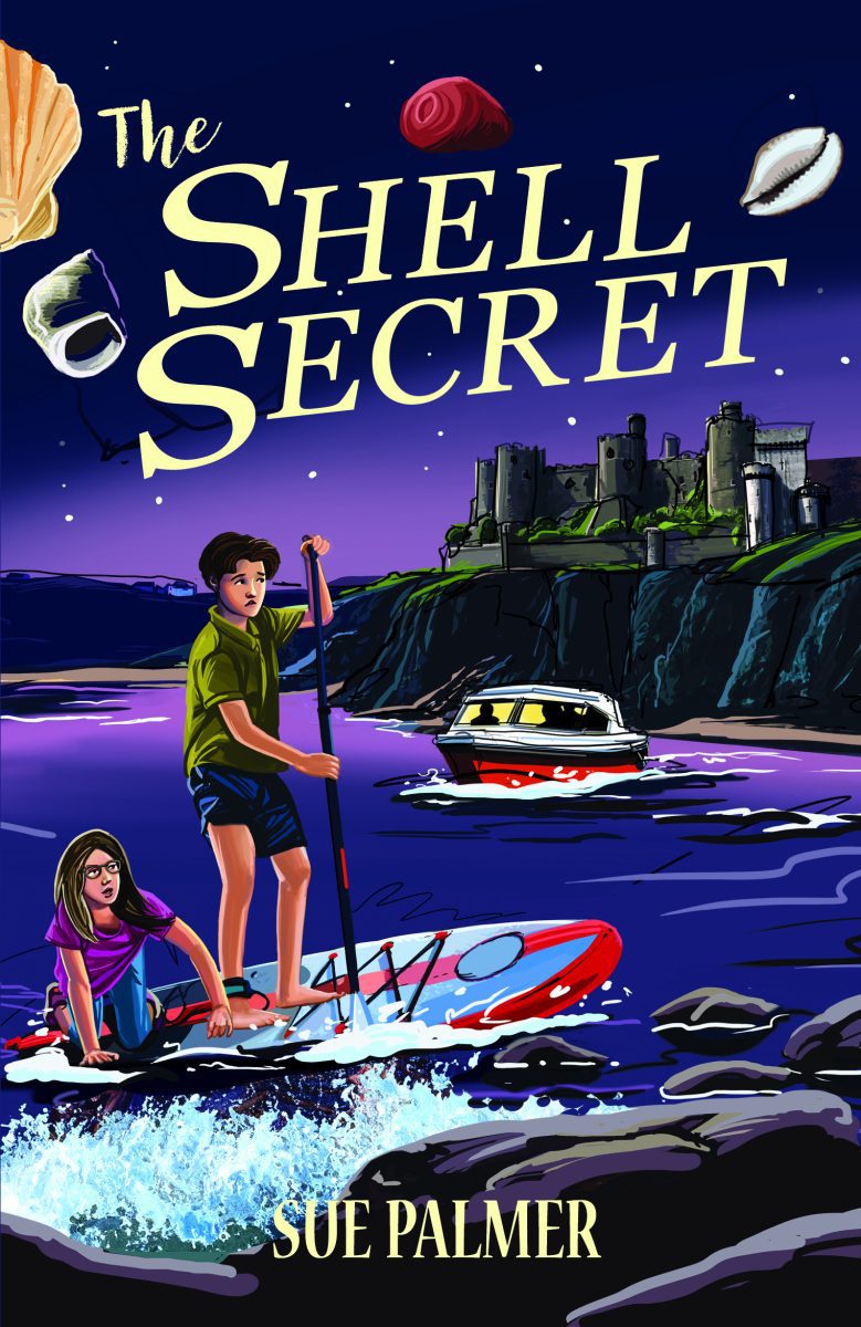 The Shell Secret by Sue Palmer