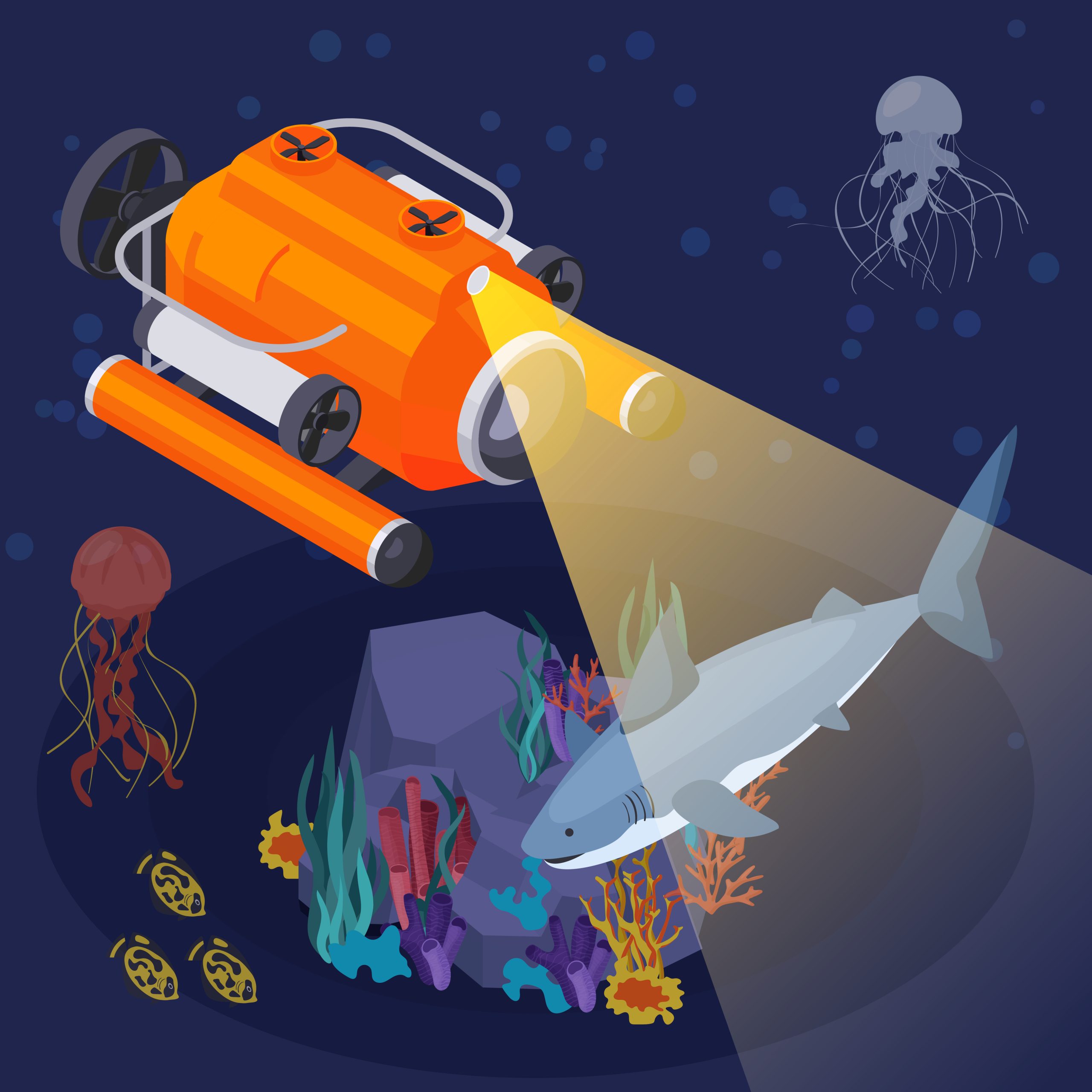 Exploring Space and Oceans - Primary Classroom Conversations (Post 2) — S Y Palmer