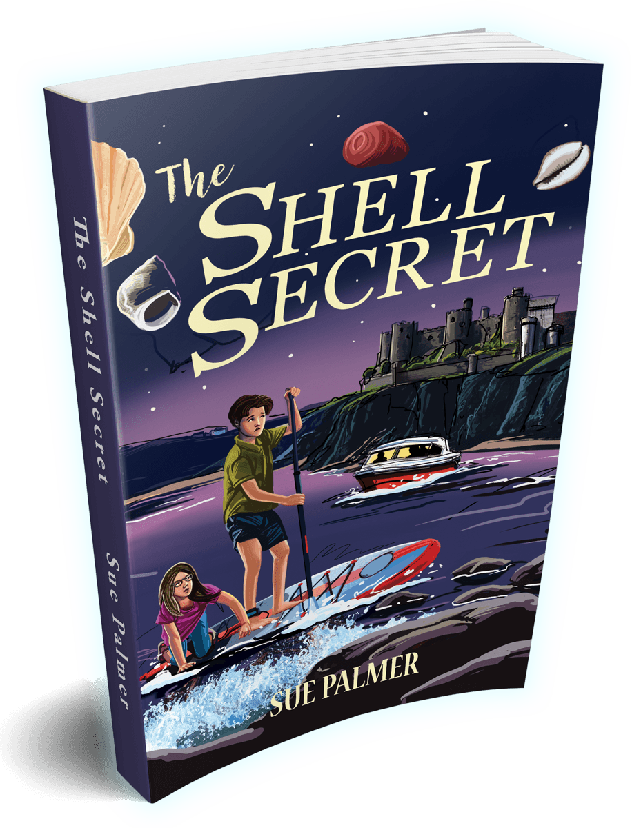 The Shell Secret by Sue Palmer